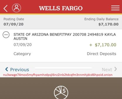 Wells Fargo bank account fresh with balance and full access with 7000$